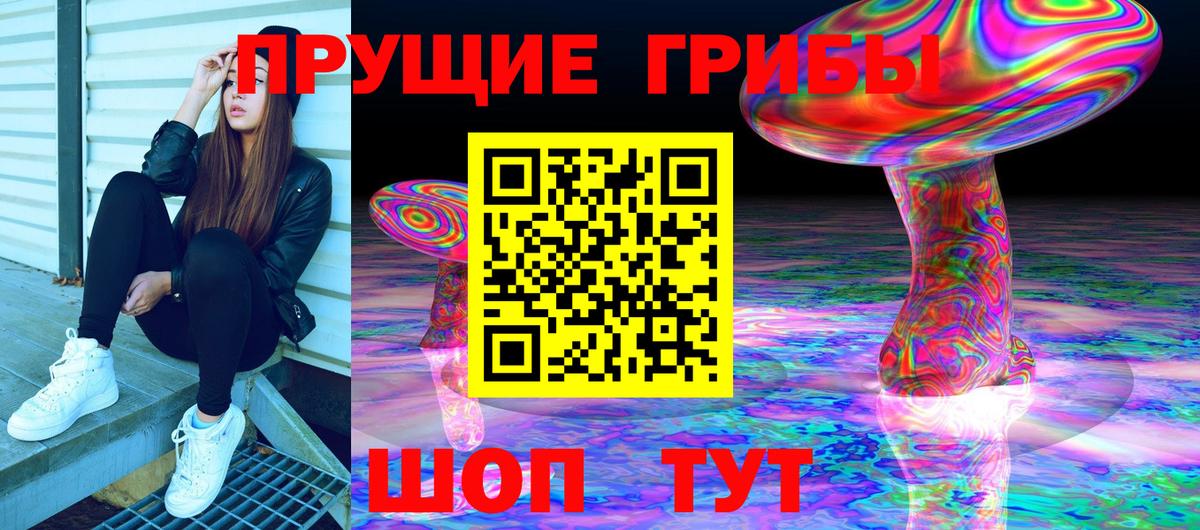 Псилоцибиновые грибы Cubensis Бутурлиновка