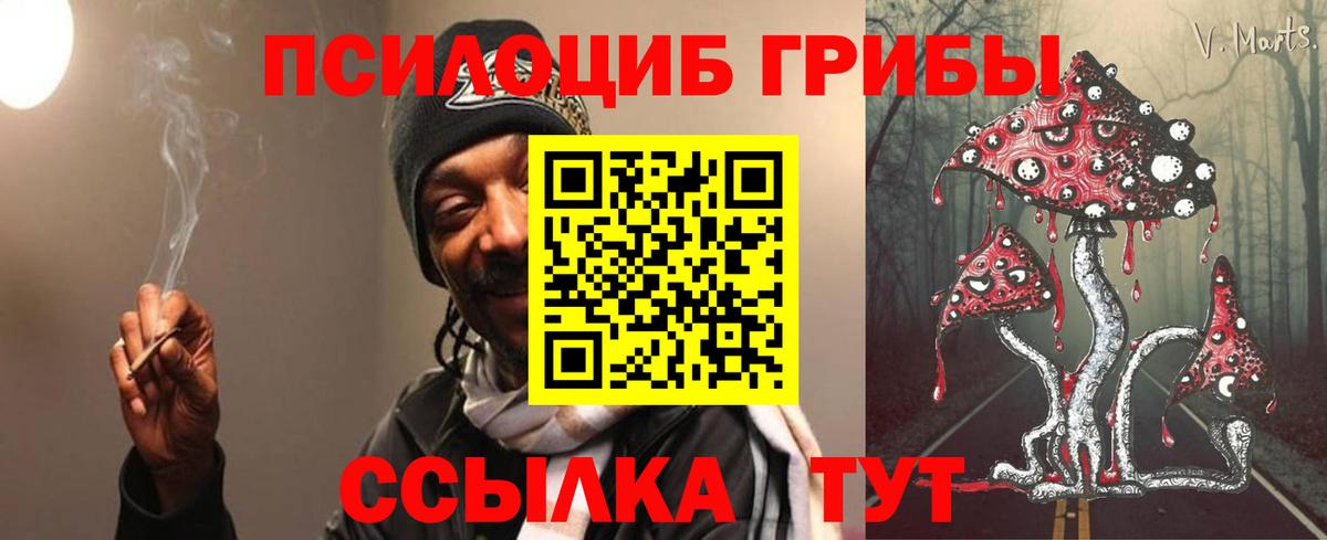 Бутурлиновка  Псилоцибиновые грибы мицелий  Вход с VPN 